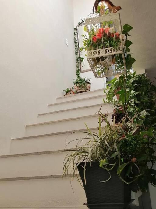 Casa Adhita, Tu Confort Es Nuestra Prioridad. Яутепек Экстерьер фото